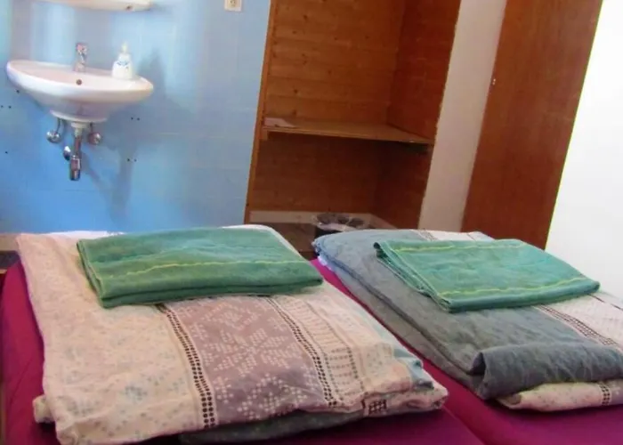 Snowbunnys Backpackers Hostal *