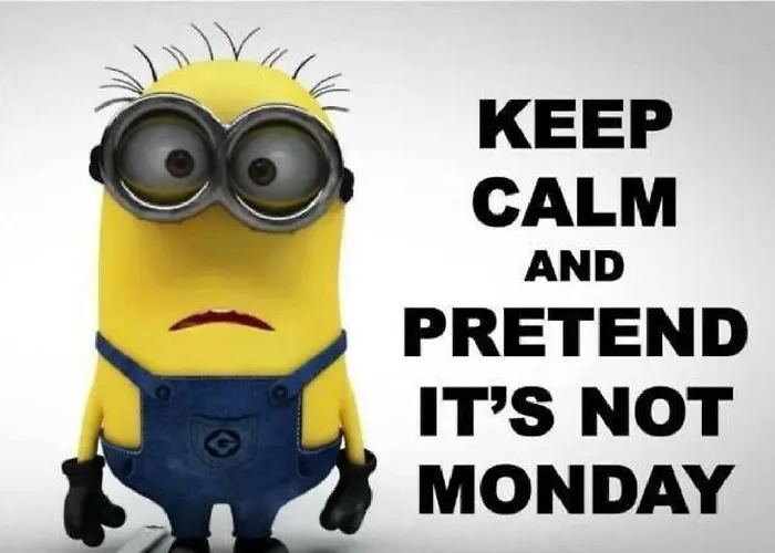 Snowbunnys Backpackers Hostal *