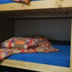 Snowbunnys Backpackers Hostel *
