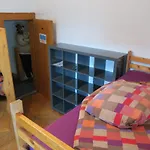 Snowbunnys Backpackers Kitzbuhel