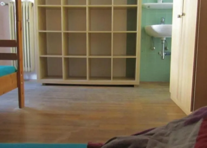 Snowbunnys Backpackers بيت شباب كيتزبوهيل