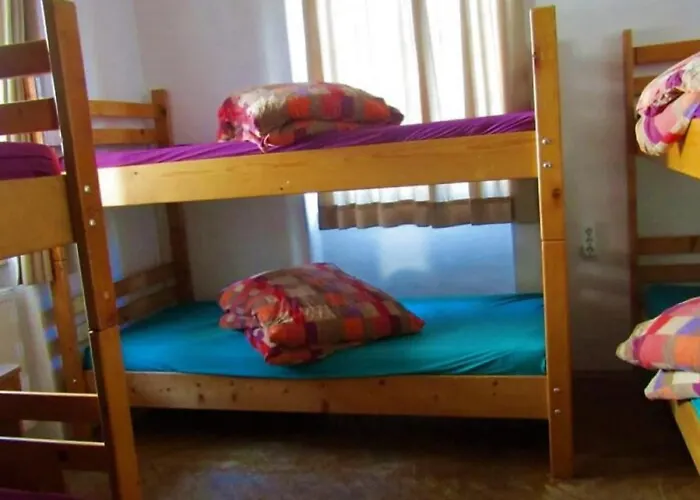 Snowbunnys Backpackers كيتزبوهيل