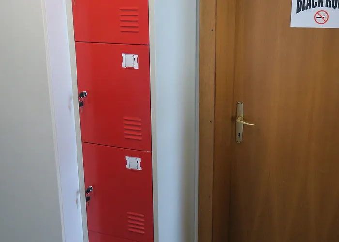 Snowbunnys Backpackers * كيتزبوهيل