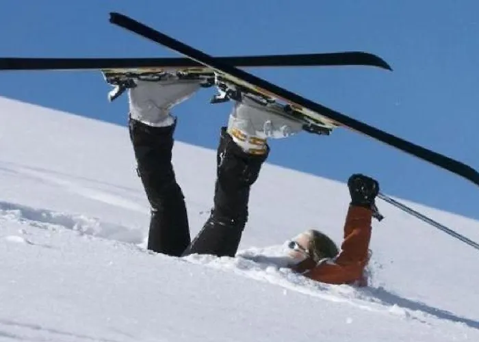 Snowbunnys Backpackers بيت شباب *