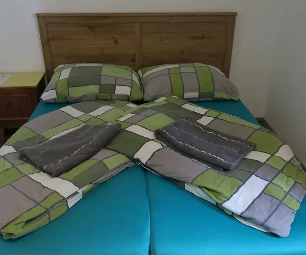 Snowbunnys Backpackers بيت شباب كيتزبوهيل