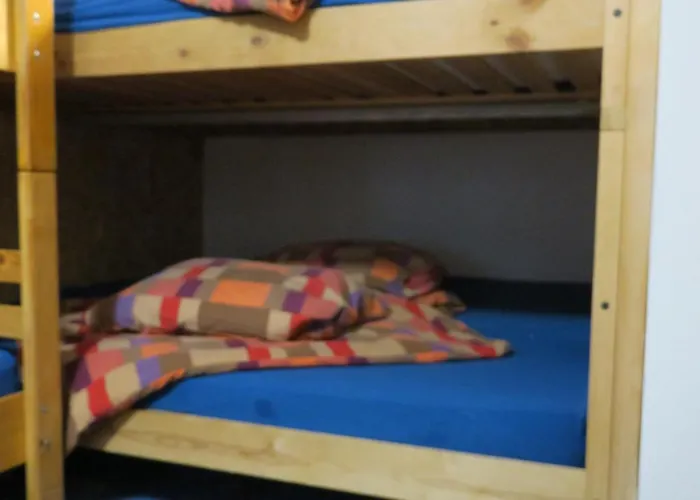 Snowbunnys Backpackers بيت شباب *