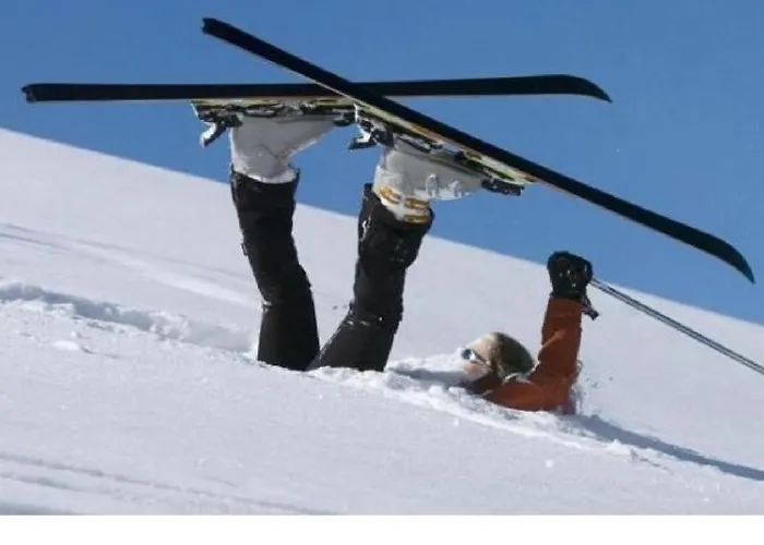 Snowbunnys Backpackers * كيتزبوهيل